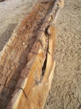 A piece of wood on the ground