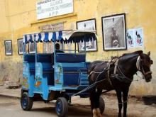 A horse pulling a wagon