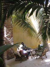People sat around a table under palm trees