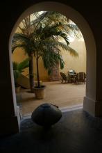 An archway leading to a palm tree